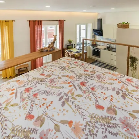 Bear Apartamento Braga