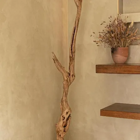 Apartment Bear Braga