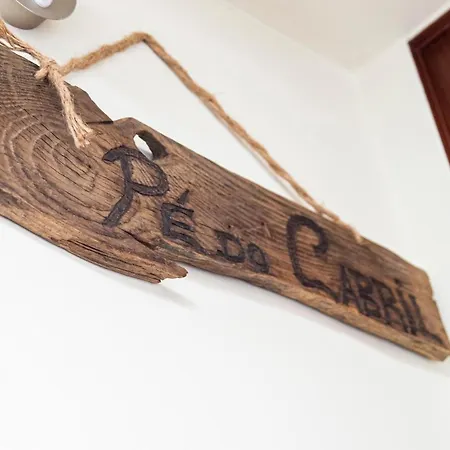 Bear Apartamento *