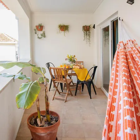 Apartamento Bear