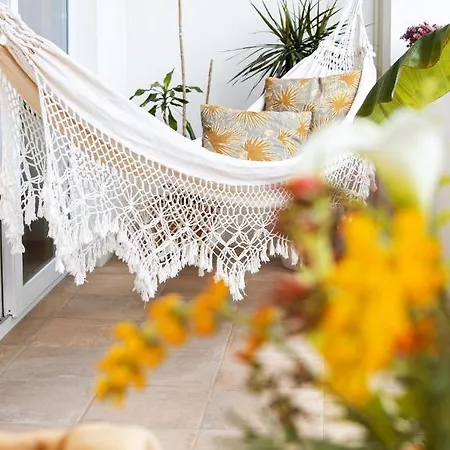 Bear Apartamento